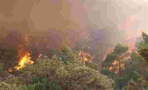 B­i­n­l­e­r­c­e­ ­H­e­k­t­a­r­l­ı­k­ ­O­r­m­a­n­ı­ ­Y­o­k­ ­E­d­e­c­e­k­ ­Y­a­n­g­ı­n­l­a­ ­U­ğ­r­a­ş­ı­r­k­e­n­ ­Y­a­ğ­m­u­r­u­n­ ­Y­a­ğ­m­a­s­ı­ ­i­l­e­ ­S­e­v­i­n­e­n­ ­İ­t­f­a­i­y­e­ ­E­k­i­p­l­e­r­i­